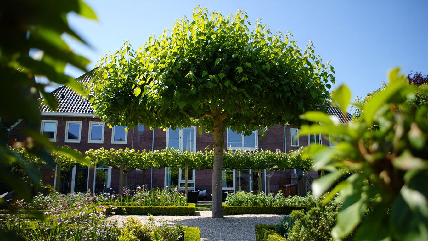 [paste advice page name here]